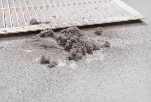 Best Air Duct Cleaning Near Me  in Walnut Park, CA