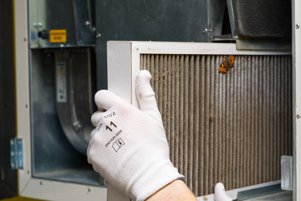 Best Commercial HVAC Duct Cleaning  in Walnut Park, CA