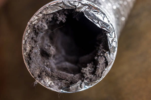 Best HVAC Duct Inspection Services  in Walnut Park, CA