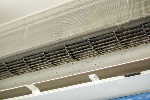 Best Air Duct Cleaning Near Me  in Walnut Park, CA